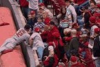 matt-adams