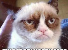 Grumpy-Cat-Purina